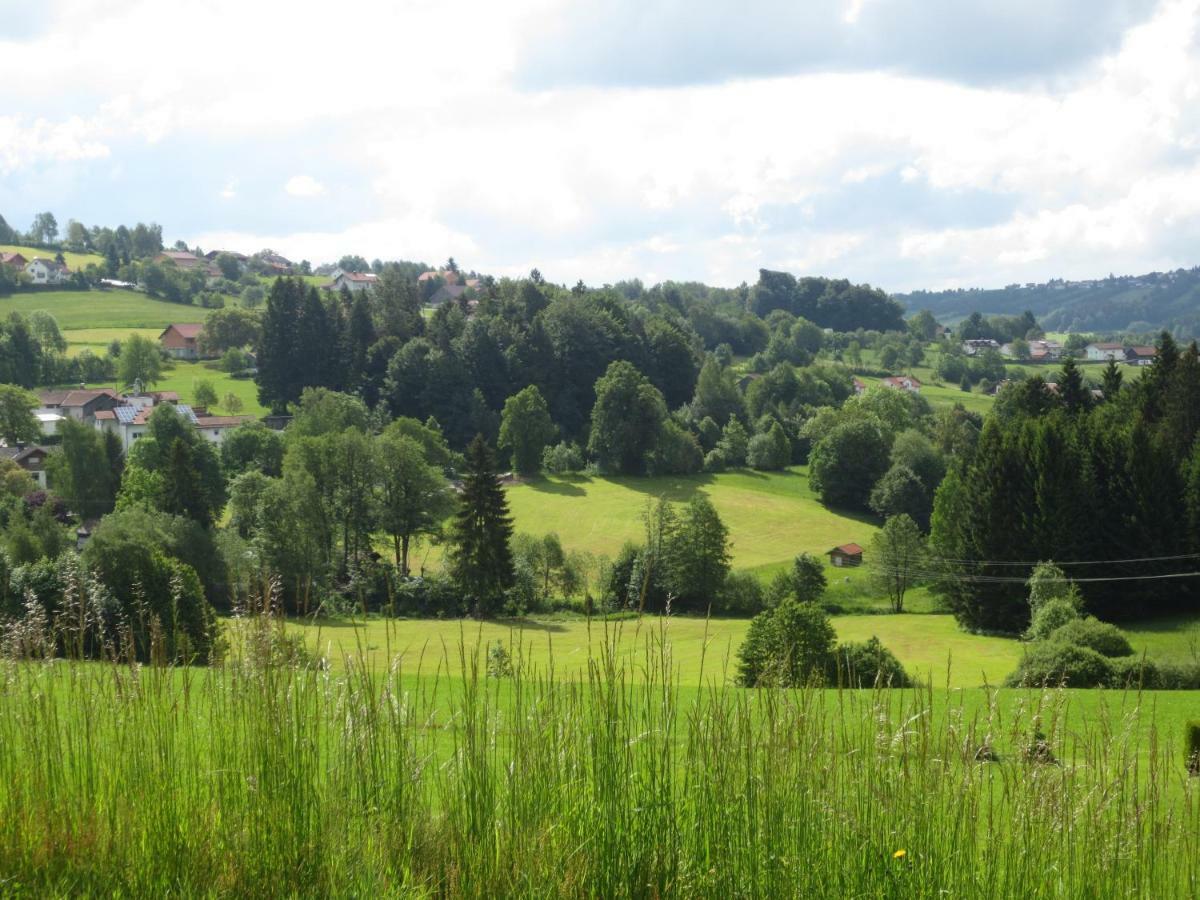 Ferienwohnungen Haus Panorama Нойшёнау Экстерьер фото