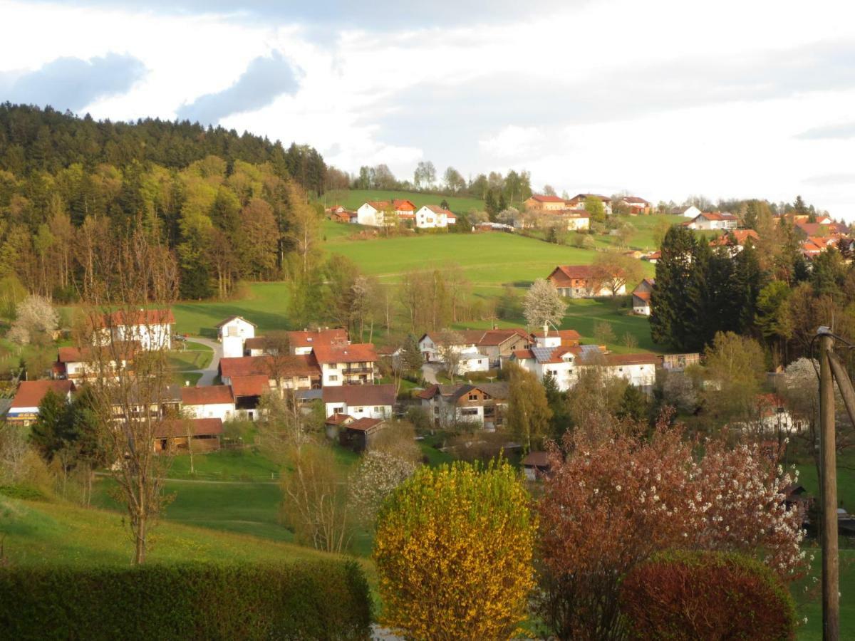 Ferienwohnungen Haus Panorama Нойшёнау Экстерьер фото