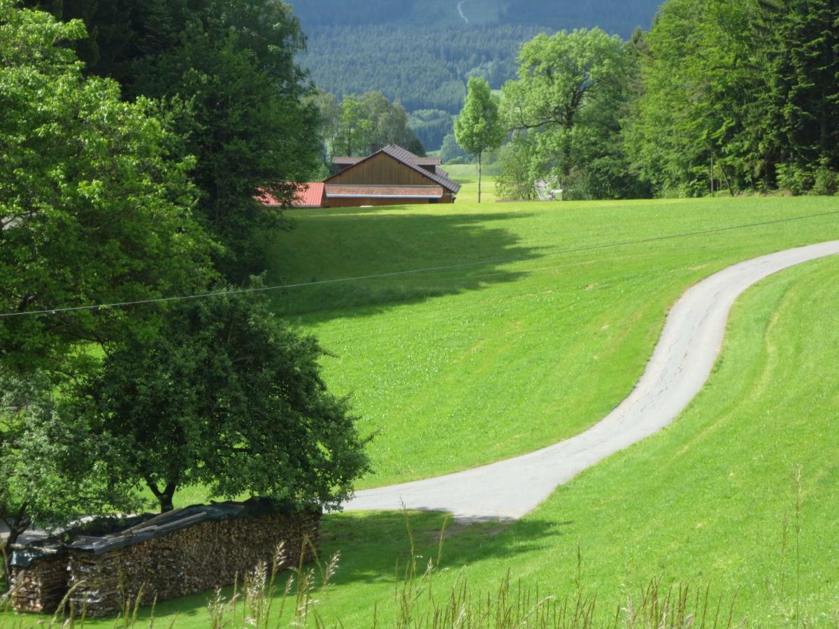 Ferienwohnungen Haus Panorama Нойшёнау Экстерьер фото